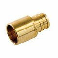 John L Schultz Pex Adapter Ml Swt Brass 3/4in 9781-904